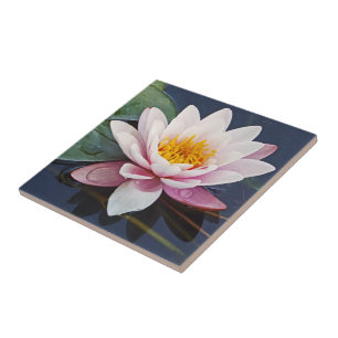 "ROSA LOTUS BLOMMAR WITH VATTEN DROPLETS ON PETALS KAKELPLATTA
