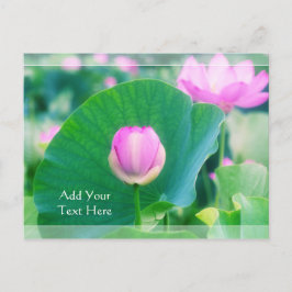 Rosa Lotus Bud Flower Grönt Löv Blommar Vykort