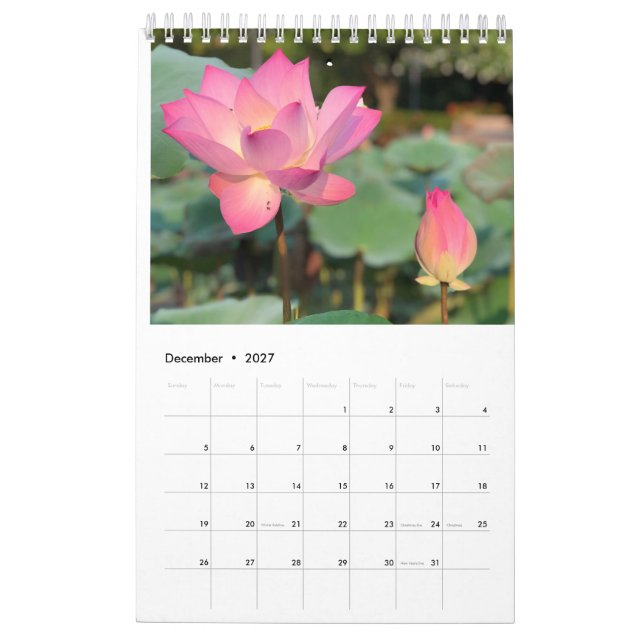 Rosa Lotus Calendar Kalender (Dec 2027)