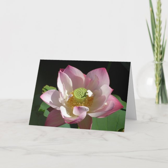Rosa Lotus Card Kort (Framsida)