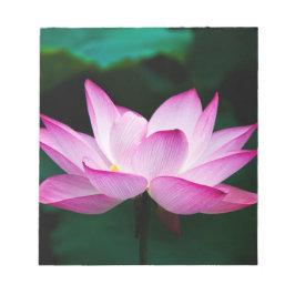 Rosa Lotus Flower Anteckningsblock