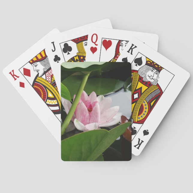 Rosa Lotus Flower Card Casinokort (Baksidan)