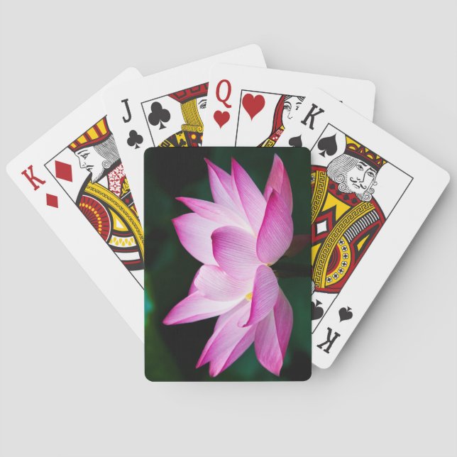 Rosa Lotus Flower Casinokort (Baksidan)