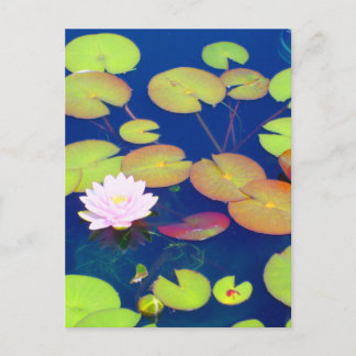 Rosa Lotus Flower flytande med lila dynor på damme Vykort