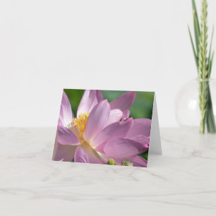 Rosa Lotus Flower-Folke-tackkort Tack Kort