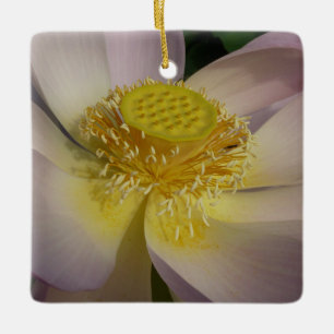 Rosa Lotus Flower I Summer Blommigt Julgransprydnad Keramik