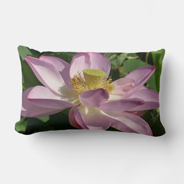 Rosa Lotus Flower II, sommartid, Blommigt Lumbarkudde (Framsida)
