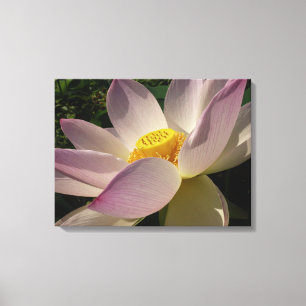Rosa Lotus Flower III, sommartid, Blommigt Canvastryck