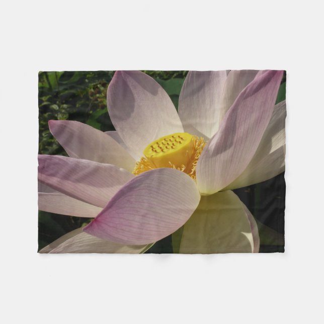 Rosa Lotus Flower III, sommartid, Blommigt Fleecefilt (Framsidan (Horisontell))