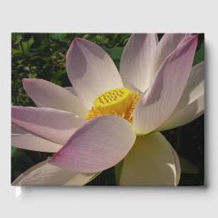 Rosa Lotus Flower III, sommartid, Blommigt Gästböcker