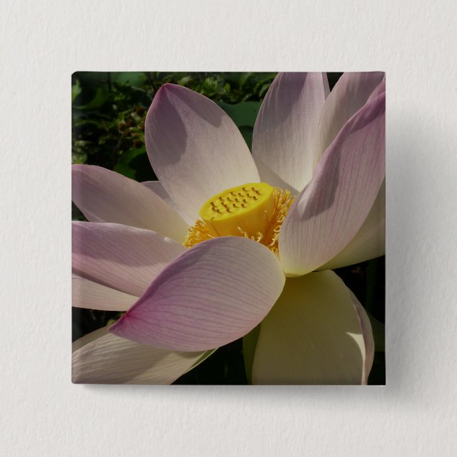 Rosa Lotus Flower III, sommartid, Blommigt Knapp (Framsida)
