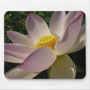 Rosa Lotus Flower III, sommartid, Blommigt Musmatta