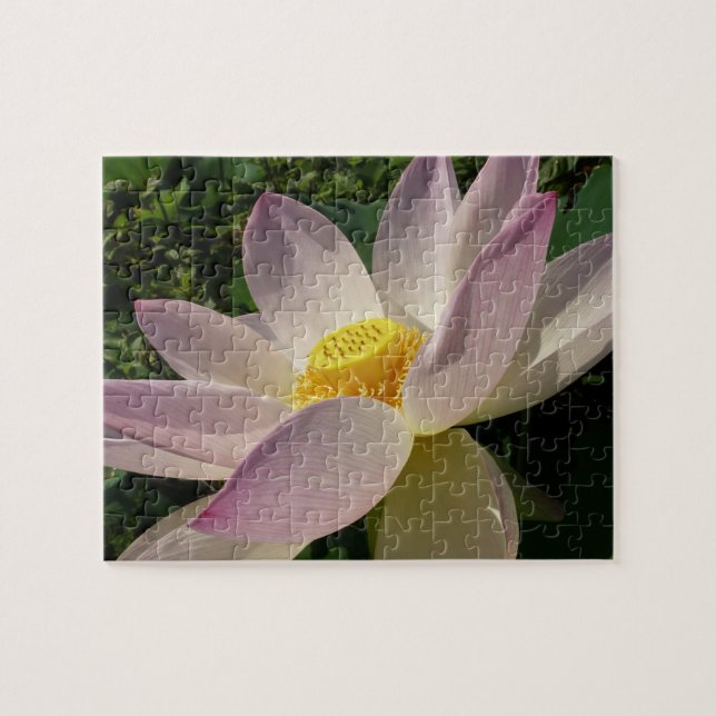 Rosa Lotus Flower III, sommartid, Blommigt Pussel (Horisontell)