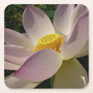 Rosa Lotus Flower III, sommartid, Blommigt Underlägg Papper Kvadrat