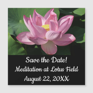 Rosa Lotus Flower IV