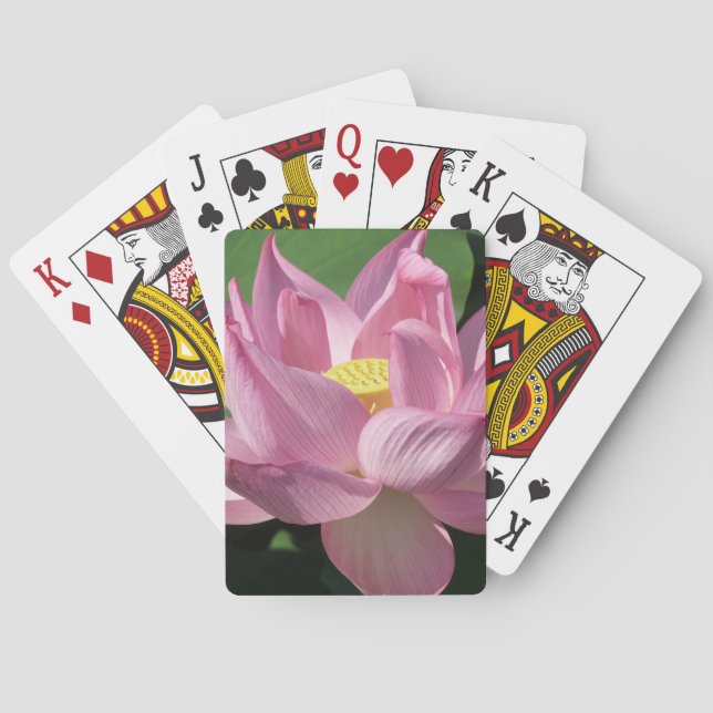 Rosa Lotus Flower IV Casinokort (Baksidan)