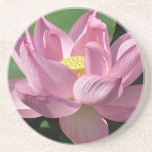 Rosa Lotus Flower IV Underlägg