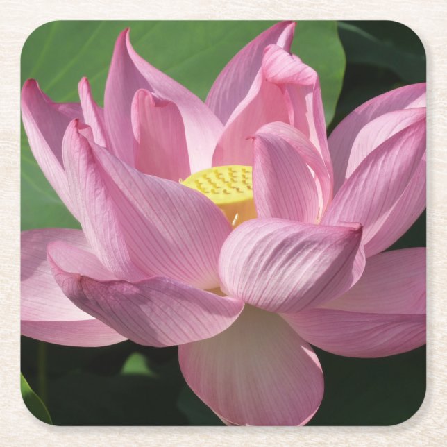 Rosa Lotus Flower IV Underlägg Papper Kvadrat (Framsidan)