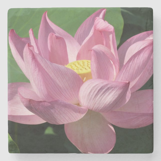 Rosa Lotus Flower IV Underlägg Sten (Framsidan)