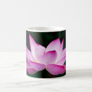 Rosa Lotus Flower Kaffemugg
