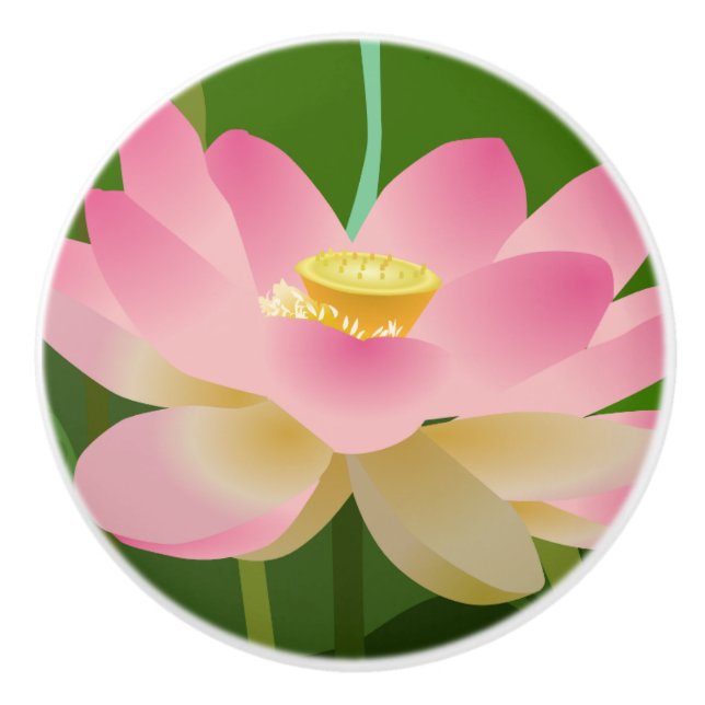 Rosa Lotus Flower Knopp (Framsidan)
