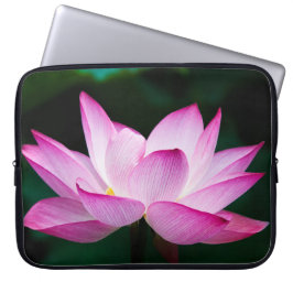 Rosa Lotus Flower Laptop Fodral