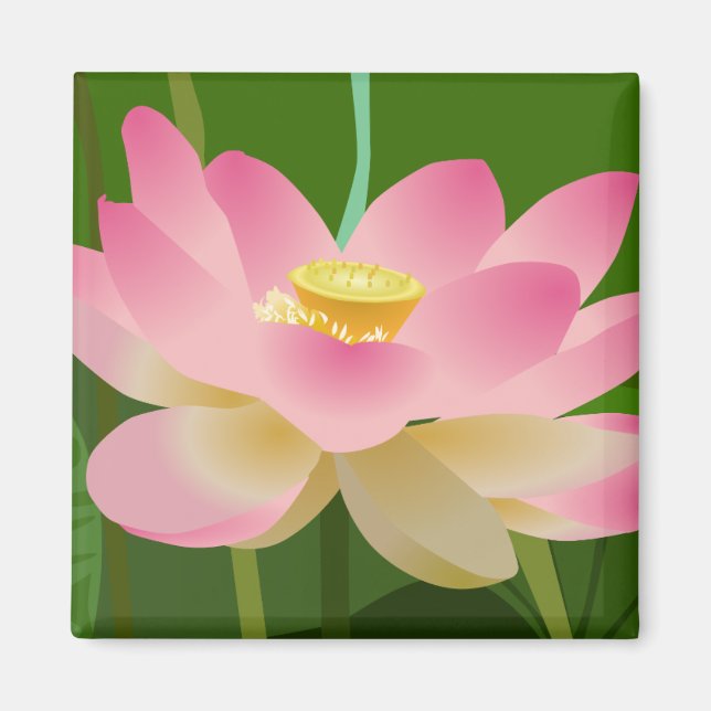 Rosa Lotus Flower Magnet (Framsidan)