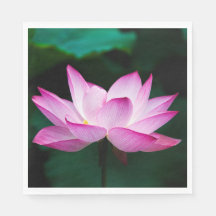 Rosa Lotus Flower