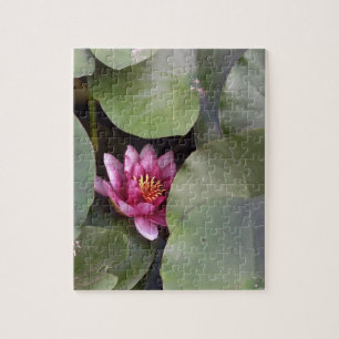 Rosa Lotus Flower Photo Puzzle med Gift box Pussel