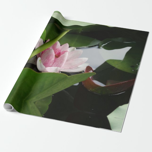 Rosa Lotus Flower Photo Wrapping Papper Presentpapper (Utrullad)