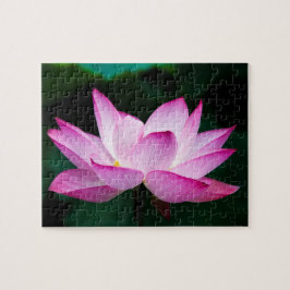 Rosa Lotus Flower Pussel