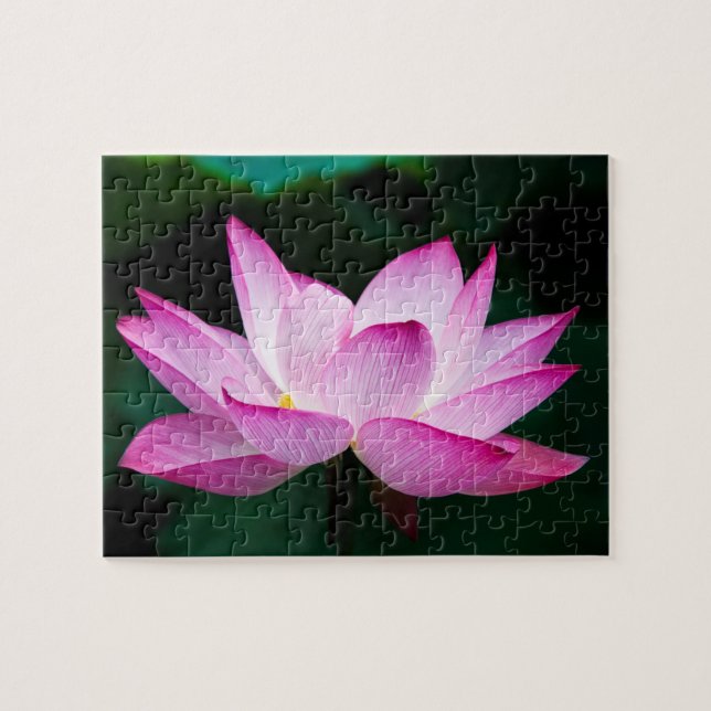 Rosa Lotus Flower Pussel (Horisontell)