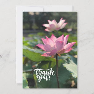 Rosa Lotus Flower Tack Kort