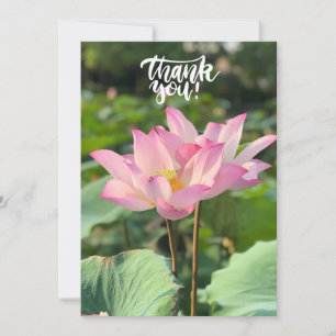 Rosa Lotus Flower Tack Kort