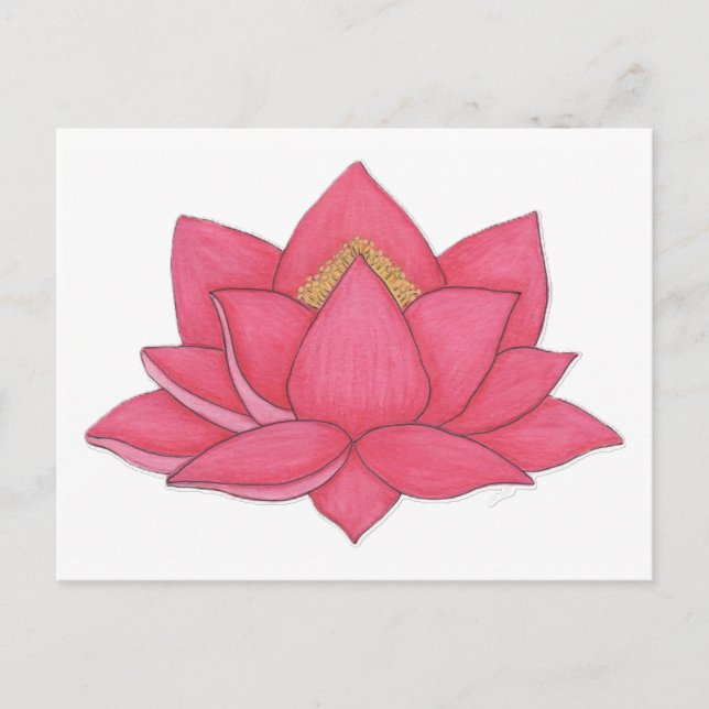 Rosa Lotus Flower Vykort (Framsida)