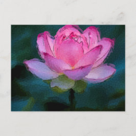 Rosa Lotus Flower Vykort