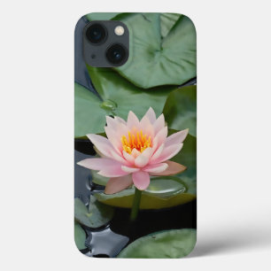 Rosa Lotus Flower Zen Garden