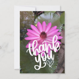 Rosa lotus i dammtackkortet tack kort