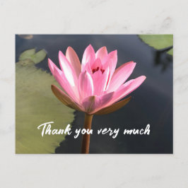 Rosa lotus i dammtackkortet vykort
