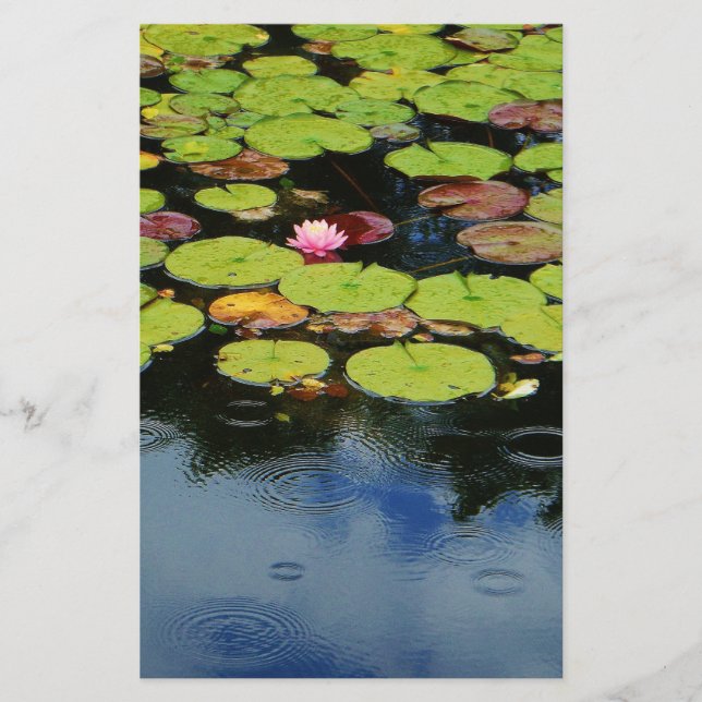 Rosa lotus i Rain (Framsida)