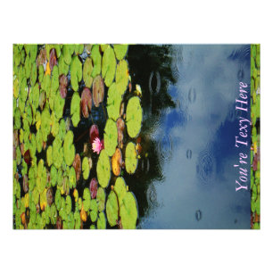 Rosa lotus i Rain Fototryck