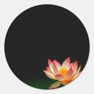 Rosa lotus-klistermärke, anpassa det runt klistermärke
