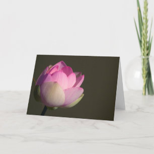 Rosa Lotus-kort Kort