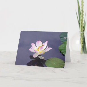 Rosa Lotus med Dragon Fly Kort