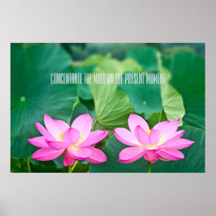 Rosa Lotus par inspiration Pair Pond Grönt Löv Poster