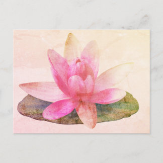 ROSA LOTUS POSTCARD VYKORT