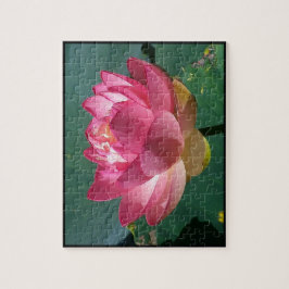 Rosa Lotus - Puzzle Pussel