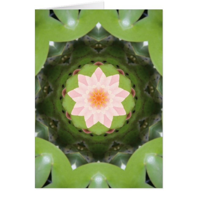 Rosa Lotus Refraction OBS Kort (Framsidan)