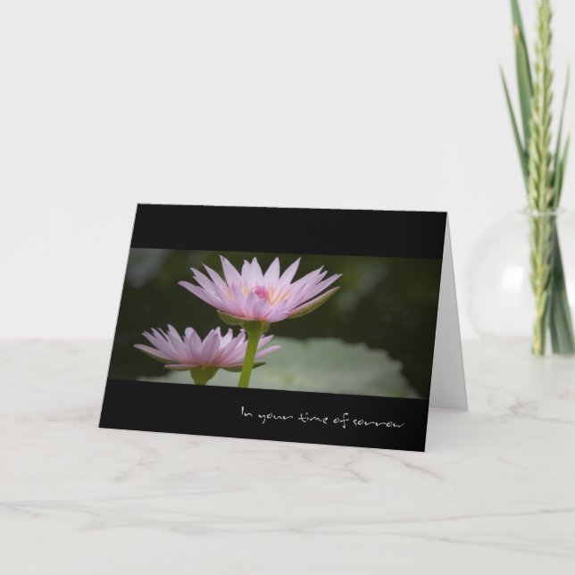 Rosa Lotus ・ Sympathy Card Kort (Framsida)