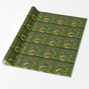 Rosa lotus vatten liljeblomma pond presentpapper